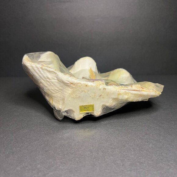 Vintage Decorative Hand-Crafted Seashell Aquatic Marine Fish Art Scene 3.75 x 6" - Picture 7 of 8